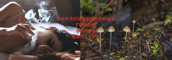 сатива Верхний Тагил