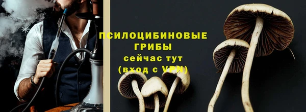 сатива Верхний Тагил