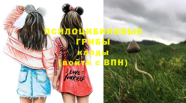 дживик Верея