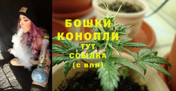 сатива Верхний Тагил